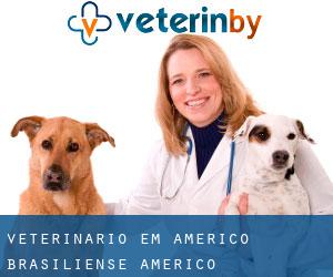 veterinário em Américo Brasiliense (Américo Brasiliense, São Paulo)