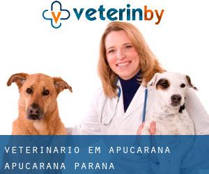 veterinário em Apucarana (Apucarana, Paraná)