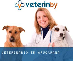 veterinário em Apucarana