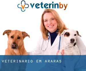 veterinário em Araras