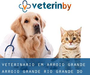 veterinário em Arroio Grande (Arroio Grande, Rio Grande do Sul)