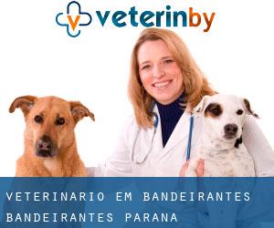 veterinário em Bandeirantes (Bandeirantes, Paraná)