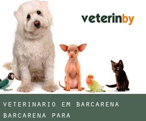 veterinário em Barcarena (Barcarena, Pará)
