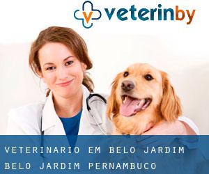 veterinário em Belo Jardim (Belo Jardim, Pernambuco)
