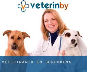 veterinário em Borborema