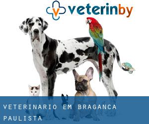 veterinário em Bragança Paulista