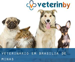 veterinário em Brasília de Minas