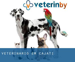 veterinário em Cajati