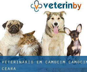 veterinário em Camocim (Camocim, Ceará)