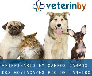 veterinário em Campos (Campos dos Goytacazes, Rio de Janeiro)