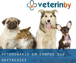 veterinário em Campos dos Goytacazes veterinário em Campos dos Goytacazes