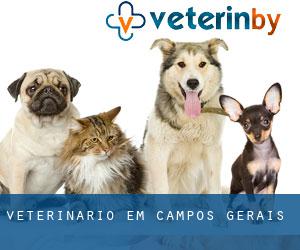 veterinário em Campos Gerais
