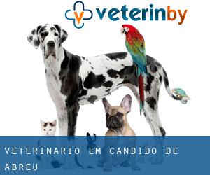 veterinário em Cândido de Abreu