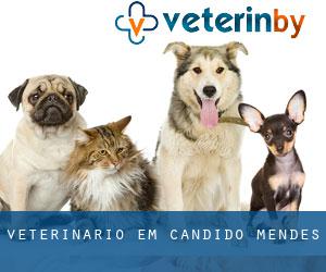 veterinário em Cândido Mendes