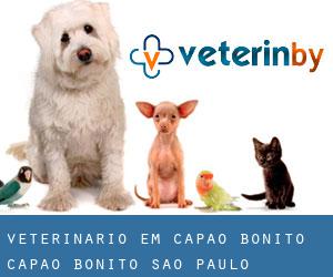 veterinário em Capâo Bonito (Capão Bonito, São Paulo)