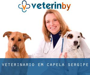 veterinário em Capela (Sergipe)