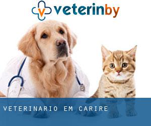 veterinário em Cariré