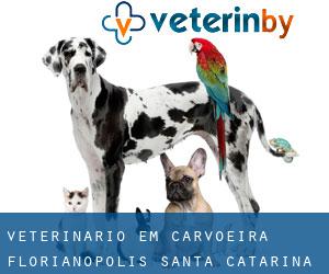 veterinário em Carvoeira (Florianópolis, Santa Catarina)