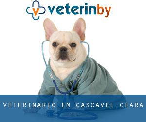 veterinário em Cascavel (Ceará)