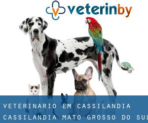 veterinário em Cassilândia (Cassilândia, Mato Grosso do Sul)