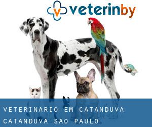 veterinário em Catanduva (Catanduva, São Paulo)