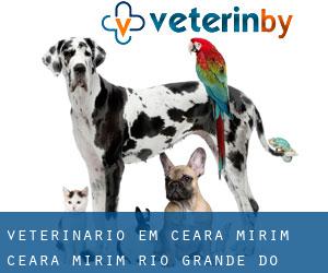 veterinário em Ceará Mirim (Ceará-Mirim, Rio Grande do Norte)