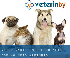 veterinário em Coelho Neto (Coelho Neto, Maranhão)