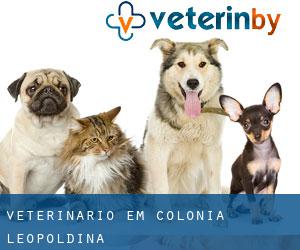 veterinário em Colônia Leopoldina
