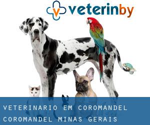 veterinário em Coromandel (Coromandel, Minas Gerais)