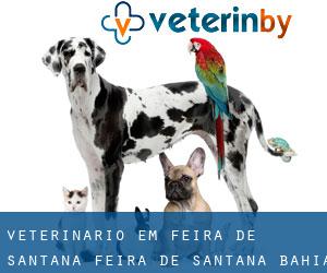 veterinário em Feira de Santana (Feira de Santana, Bahia)