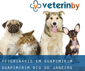 veterinário em Guapimirim (Guapimirim, Rio de Janeiro)