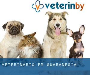 veterinário em Guaranésia
