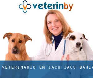 veterinário em Iaçu (Iaçu, Bahia)