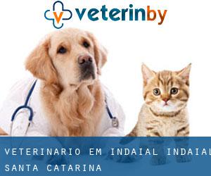 veterinário em Indaial (Indaial, Santa Catarina)