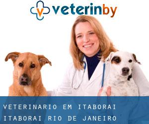 veterinário em Itaboraí (Itaboraí, Rio de Janeiro)