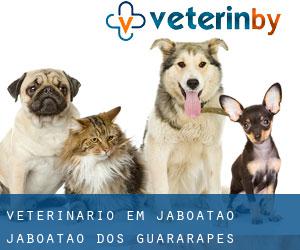 veterinário em Jaboatão (Jaboatão dos Guararapes, Pernambuco)