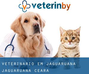 veterinário em Jaguaruana (Jaguaruana, Ceará)