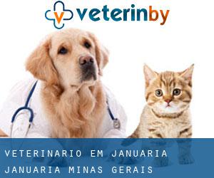 veterinário em Januária (Januária, Minas Gerais)