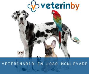 veterinário em João Monlevade
