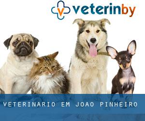 veterinário em João Pinheiro