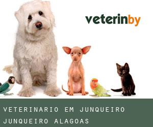 veterinário em Junqueiro (Junqueiro, Alagoas)
