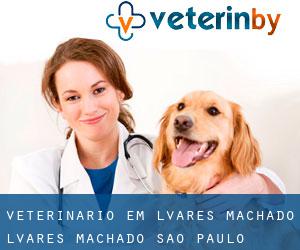 veterinário em Álvares Machado (Álvares Machado, São Paulo)