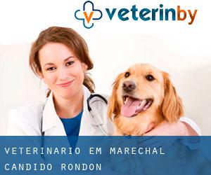 veterinário em Marechal Cândido Rondon