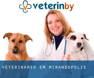 veterinário em Mirandópolis