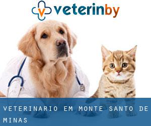 veterinário em Monte Santo de Minas