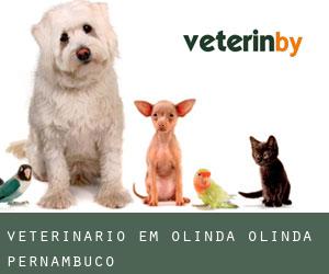 veterinário em Olinda (Olinda, Pernambuco) veterinário em Olinda (Olinda, Pernambuco)