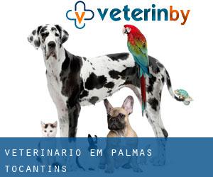 veterinário em Palmas (Tocantins)