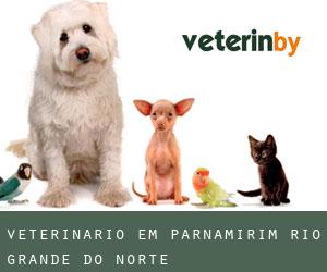 veterinário em Parnamirim (Rio Grande do Norte)