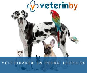 veterinário em Pedro Leopoldo