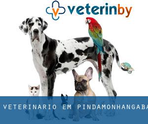 veterinário em Pindamonhangaba